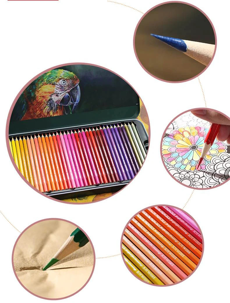 Crayons de Couleur à l'Huile - Haute Qualité - Set de 24 Couleurs
