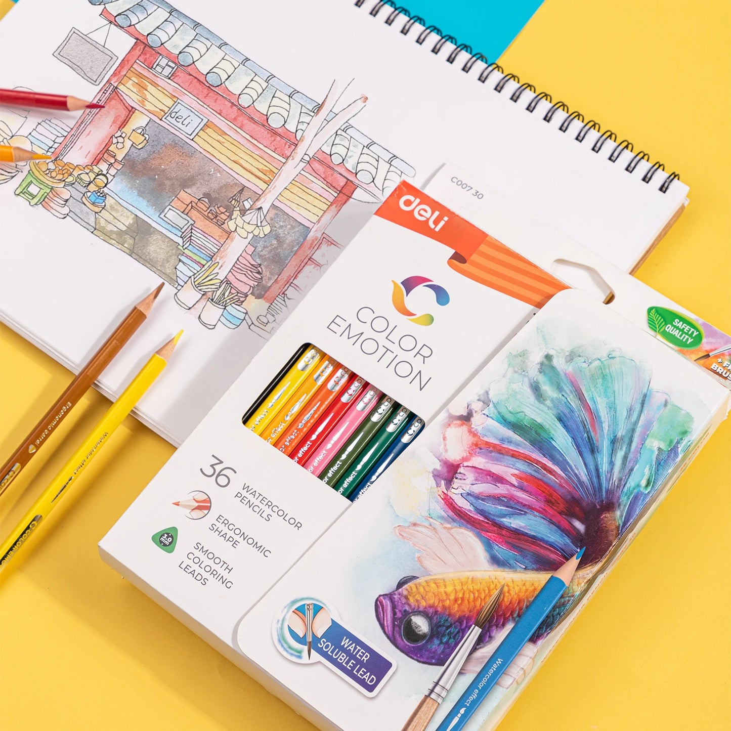 Crayons de Couleur Aquarellables