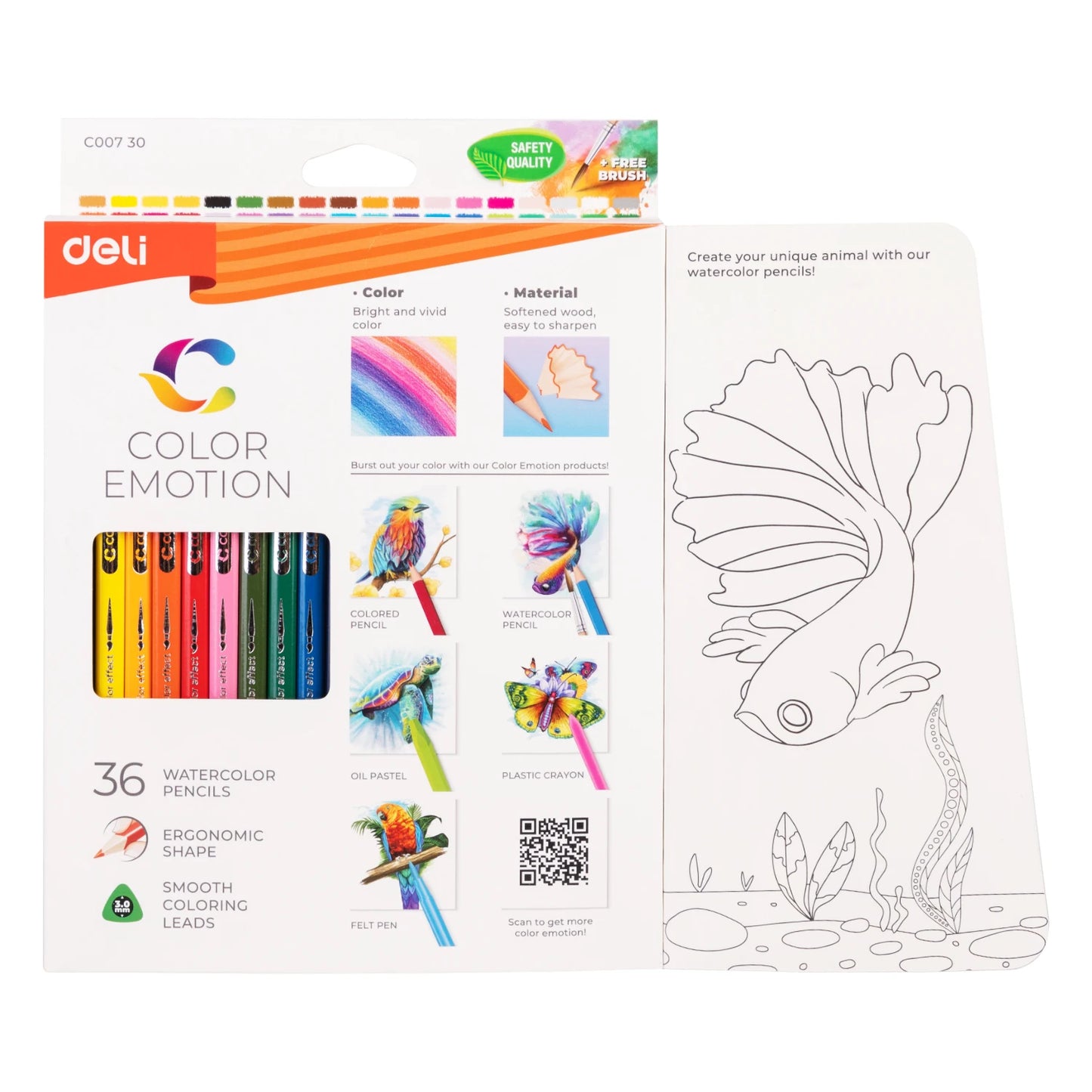 Crayons de Couleur Aquarellables