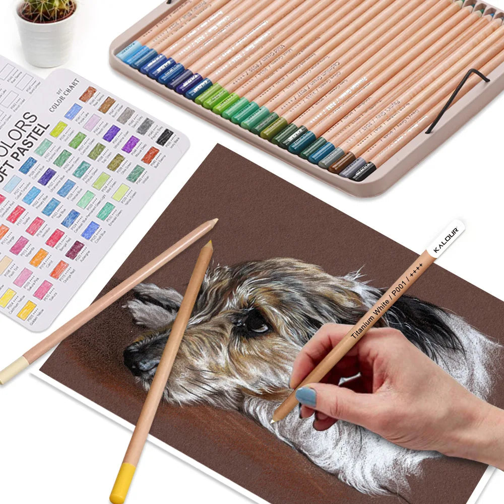 Crayons Pastel Doux Premium