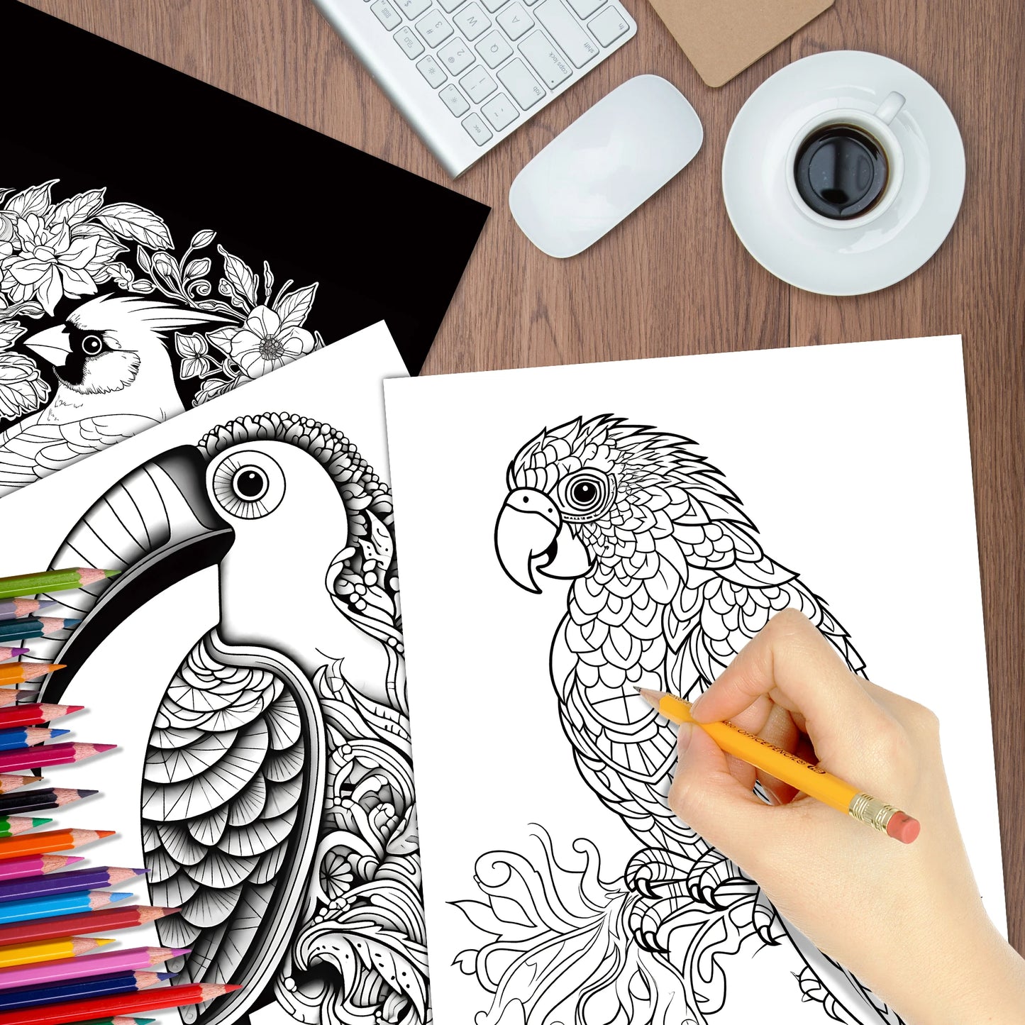 Livre de coloriage art thérapie