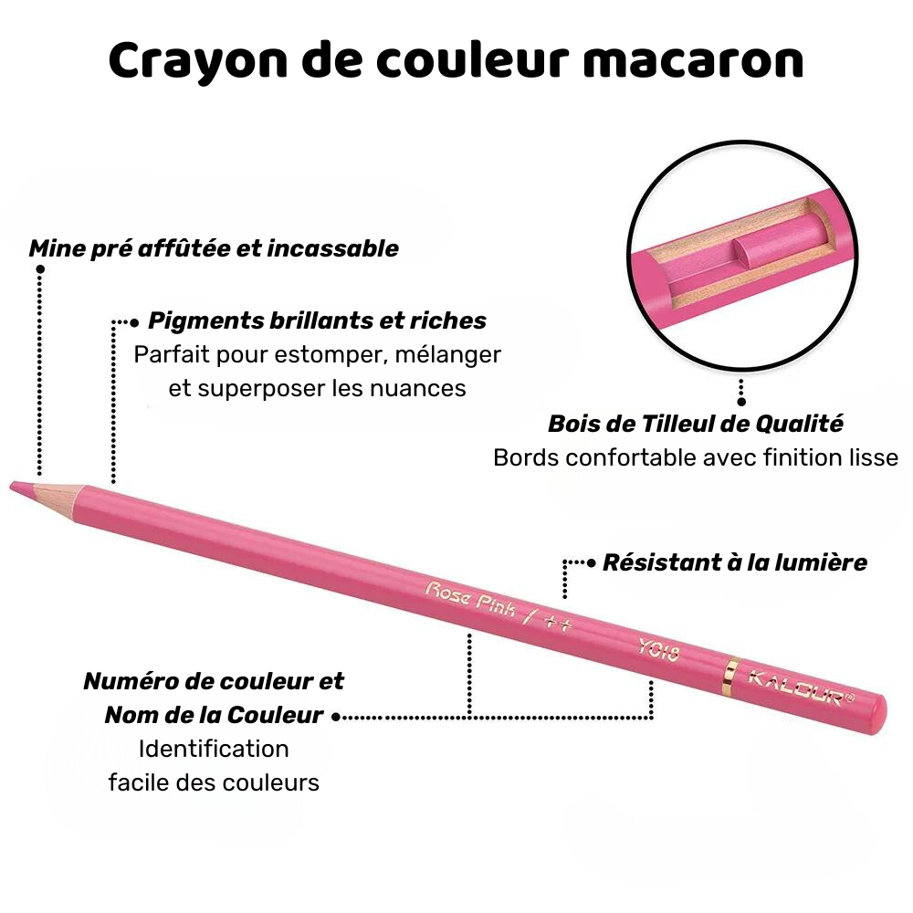 Crayons de couleur Métalliques Premium