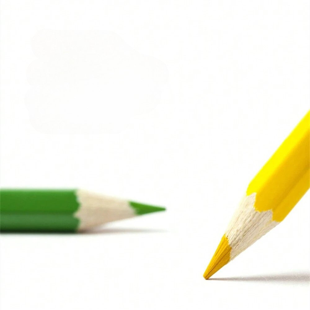 Crayons de Couleur à l'Huile - Haute Qualité - Set de 24 Couleurs