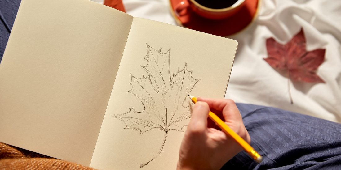 5 Conseils Essentiels pour progresser rapidement en Dessin