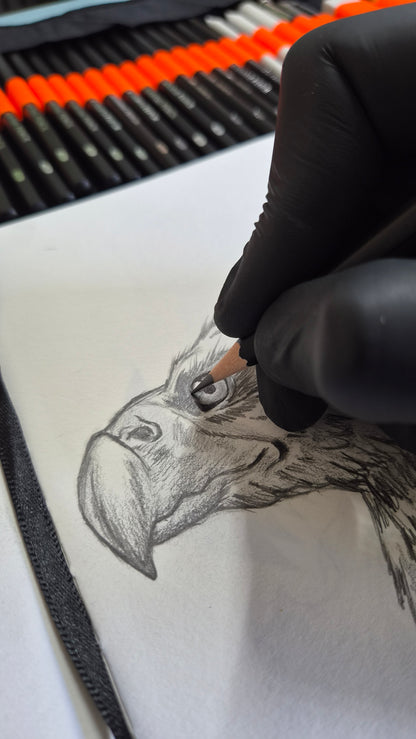 Kit de dessin enroulable — Pour débuter le dessin