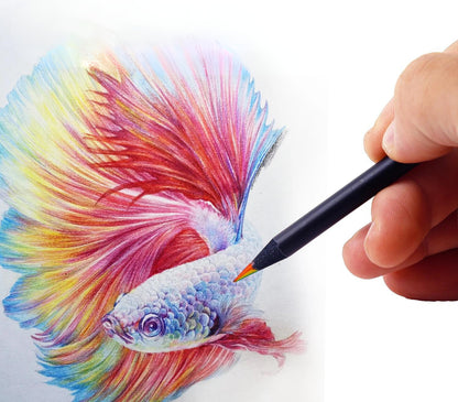 Crayons arc-en-ciel 7 Couleurs pour enfant