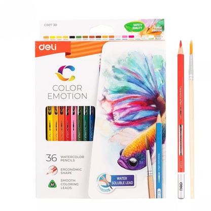 Crayons de couleur aquarellables